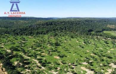 Imagem 11: Fazenda com 1.500 hectares - 20 km de Montes Claros