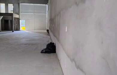 Imagem 3: Barracão, 240 m² - venda por R$ 1.050.000 ou aluguel por R$ 7.720/mês...