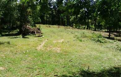 Imagem 2: Terreno à venda, 9982 m² por R$ 980.000,00 - Colonia Santa Gabriela...