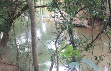 Imagem: A chácara possui 20.000m² de Área e está localizado em