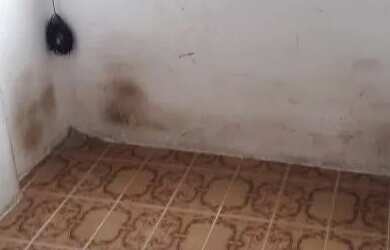 Imagem 1: Apartamento Cardeal da silva