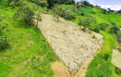 Imagem 2: VENDE-SE TERRENO EM PIRAI