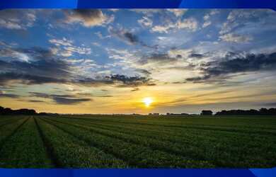 Imagem: A casa possui 1 Dormitório, 1 Banheiro, 79m² de Área e está