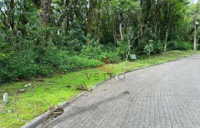 Imagem 4: Terreno à Venda em Canela