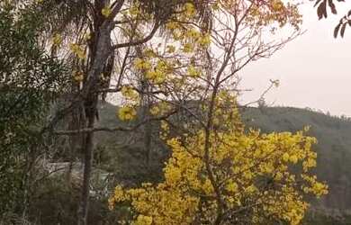 Imagem: A chácara possui 6.000m² de Área e está localizado em Germano