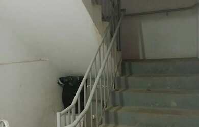 Imagem 5: Imovel de Alto Valor para Investir