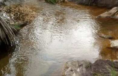 Imagem 11: A M IMOVEIS VENDE EXELEN FAZENDA COM 310.7HECTARES PARA PECUARIA