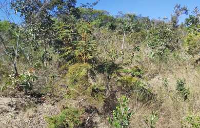 Imagem: O terreno possui 300m² de Área e está localizado em Setor