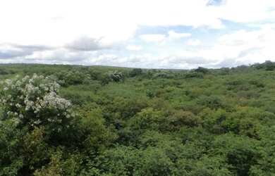 Imagem 1: Fazenda Quixeramobim - Vendo