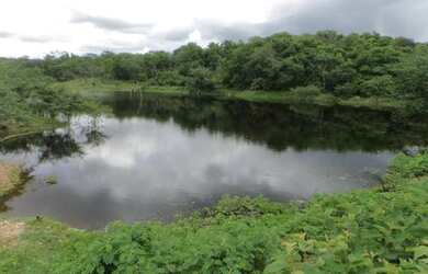 Imagem 3: Fazenda Quixeramobim - Vendo