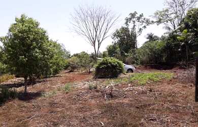 Imagem 5: troca por casa ou apto em londrina