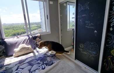 Imagem 16: Apartamento Patamares Greenville 3 quartos suite varanda gourmet