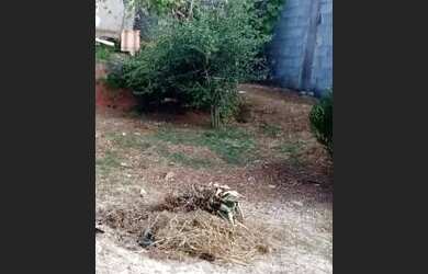 Imagem 3: CASINHA TOP. 200m² de Área, 2 Vagas na garageme1 Dormitório