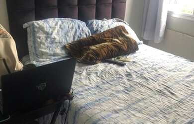 Imagem 12: Apartamento para venda no Condomínio Residencial Jardim Bougainville...