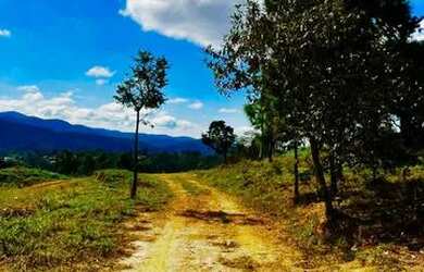 Imagem: O terreno possui 1.000m² de Área e está localizado em Capoavinha
