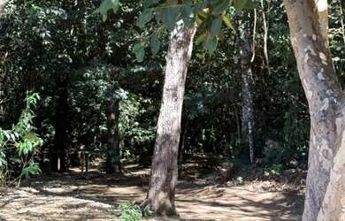 Imagem 15: Condomínio Village Recanto da Mata Bela Vista Goiás linda chácara disponível...