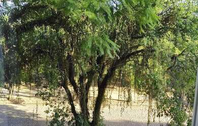 Imagem 4: Imóvel para aluguel tem 65 metros quadrados com 2 quartos em Jardim Lindóia...