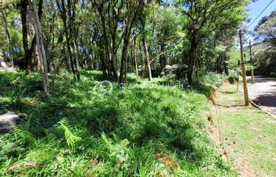 Imagem 7: TERRENO EM CONDOMINIO FECHADO EM CANELA
