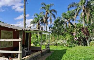 Imagem 12: Super chacrinha 157 mil reais teteinha