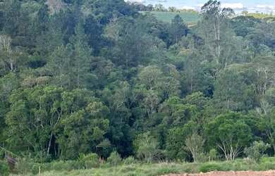 Imagem 4: Refúgio Natural com Estrutura Completa 500m² em Ibiúna-SP