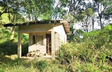 Imagem 3: Sítio / Chácara para Venda em Nova Petrópolis, Linha Pirajá Baixa