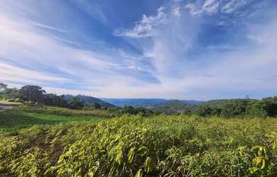Imagem 2: Terreno para Venda em Nova Petrópolis, Linha Olinda