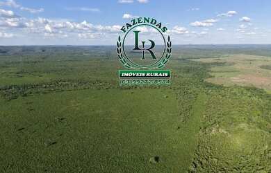 Imagem: A fazenda está localizado em Plano Diretor Sul, Palmas à venda