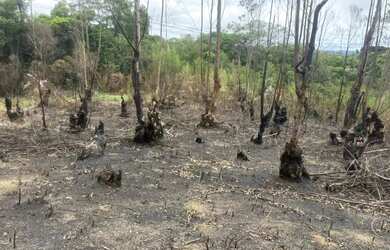Imagem 3: Natureza e Paz: Seu Terreno de 1000m² em Ibiúna. R$ 57.900