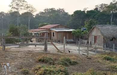 Imagem 4: Terra. 235m² de Área