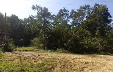 Imagem: A chácara possui 10.000m² de Área e está localizado em