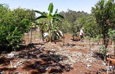 Imagem 8: troca por casa ou apto em londrina