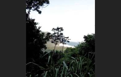 Imagem 4: VENDA - Fantastica e Incrivel Área Nativa com 2.200m2 em Pedra de Grumari...