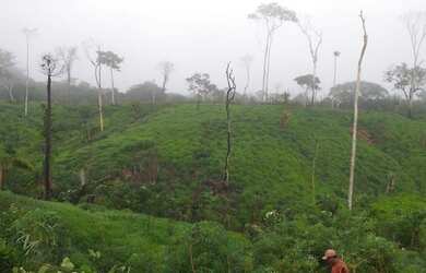 Imagem 2: Terra. 235m² de Área