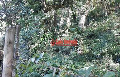 Imagem 12: Terreno à venda, 5000 m² por R$ 400.000 - Piratininga - Niterói/RJ - TE0714