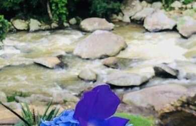 Imagem 2: Lumiar locação por temporada - casa situada na Pedra Riscada