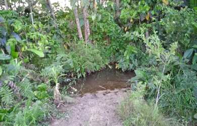 Imagem: A fazenda está localizado em João Lisboa, MA à venda por