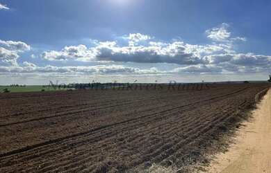 Imagem 16: Fazenda com 40 alqueires para agricultura Nogueira Imóveis Rurais