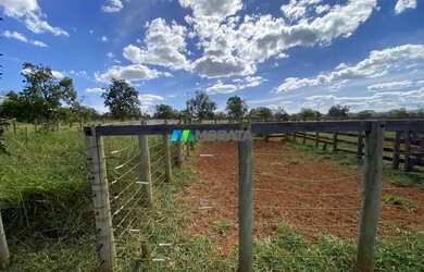 Imagem 6: FAZENDA À VENDA - 166 HECTARES - REGIÃO DE CURVELO MG