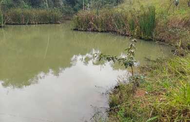 Imagem 7: FAZENDA À VENDA OU ARRENDAMENTO COM 55 HECTARES, NO ALTO PARANAÍBA
