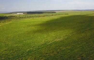 Imagem: A fazenda está localizado em Fundinho, Uberlândia à venda