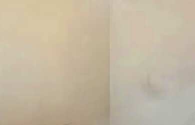 Imagem 3: CASA TÉRREA - VILA PAPELÃO - SP