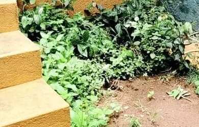 Imagem 12: Casa para venda e locação, Jardim dos Pinheiros, Atibaia, SP