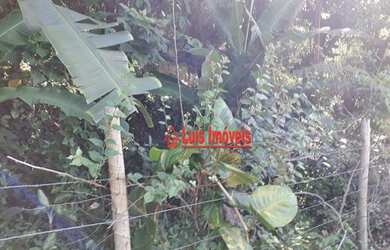 Imagem 7: Terreno à venda, 5000 m² por R$ 400.000 - Piratininga - Niterói/RJ - TE0714