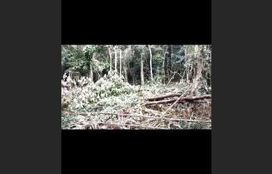 Imagem: Fazenda a venda região de iguai bahia