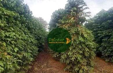 Imagem: A fazenda possui 3.949.440m² de Área e está localizado em