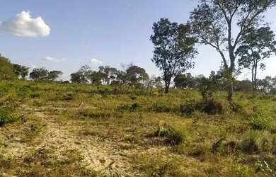 Imagem: A fazenda possui 1.124m² de Área e está localizado em São