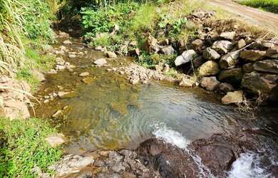 Imagem 11: Sítio / Chácara para Venda em Nova Petrópolis, São Jacó