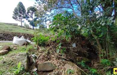 Imagem 4: Terreno para Venda em Nova Petrópolis, Pinhal Alto