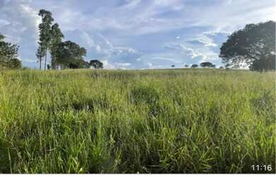 Imagem: A fazenda está localizado em Uberlândia, MG à venda por