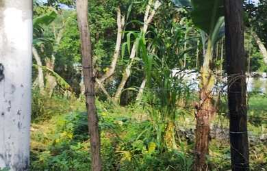 Imagem: A chácara possui 950m² de Área e está localizado em Vila